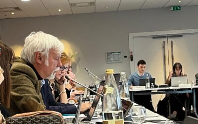 Multiples interventions de Leonello Boschiroli à propos de la situation italienne